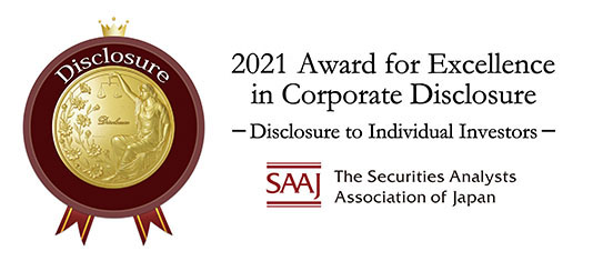 Disclosure to Individual Investors
