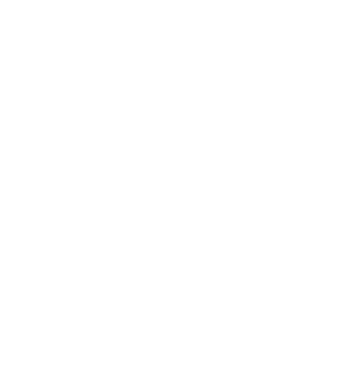 SHINKA2真価