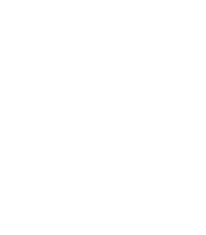 SHINKA3進化
