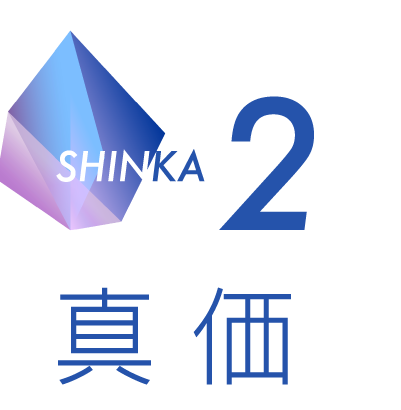 SHINKA2真価