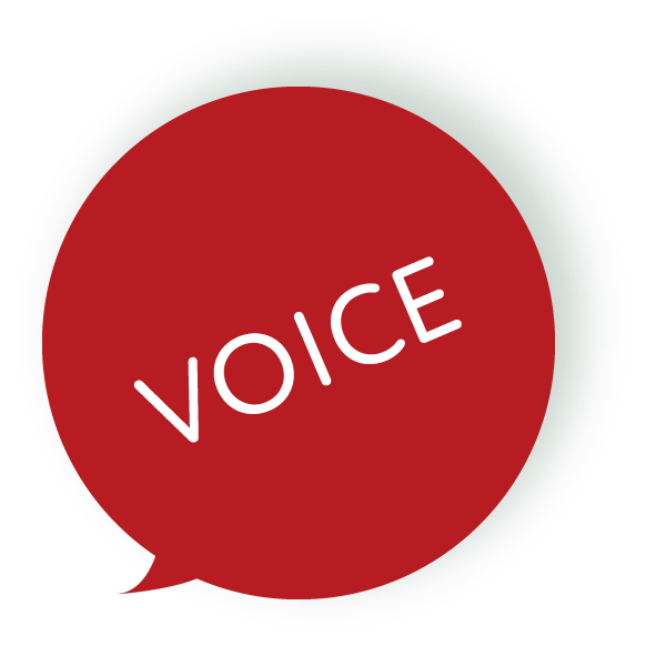 voice